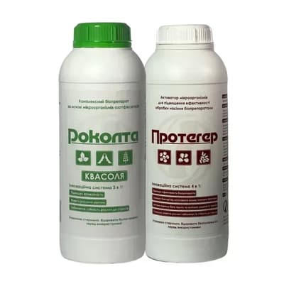 Rokolta bean+Proteger