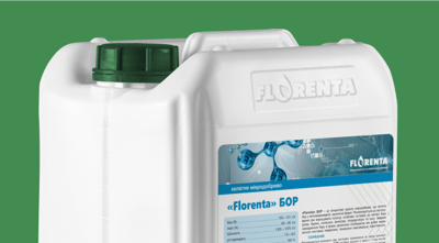 Florenta Boron