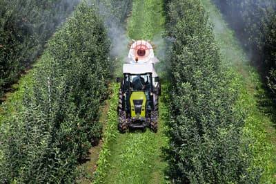 Orchard tractor CLAAS NEXOS 240 F 4WD