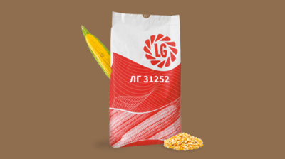LG 31252 Corn (FAO 260)
