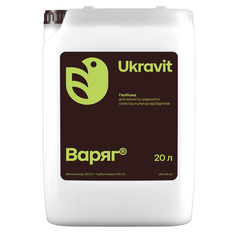 Варяг