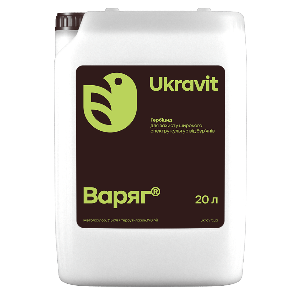 Варяг
