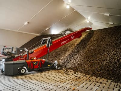 Potato conveyor Dewulf ML 80