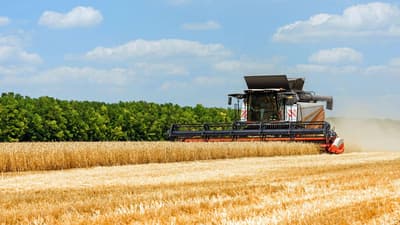 Combine harvester Rostselmash TORUM 785
