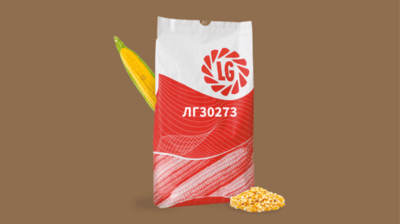 LG 30273 Corn (FAO 260)