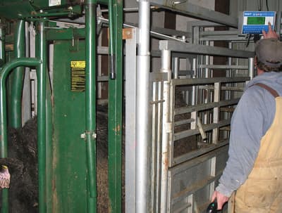 Topcon Agriculture Squeeze Chute Scale Systems