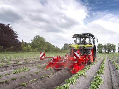 Potato ridger GRIMME GH 2