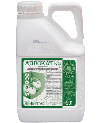 Advokat