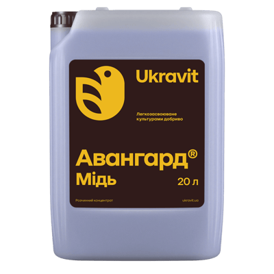 Avangard Copper