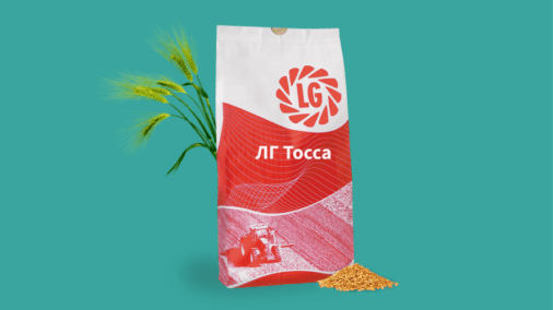 ЛГ Тосса, ячмінь
