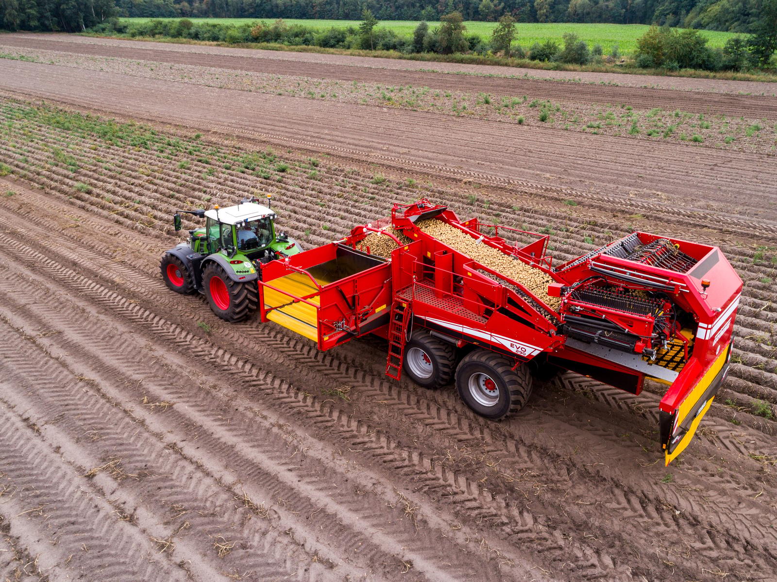 Potato harvester GRIMME EVO 290