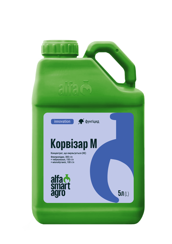 Корвізар М
