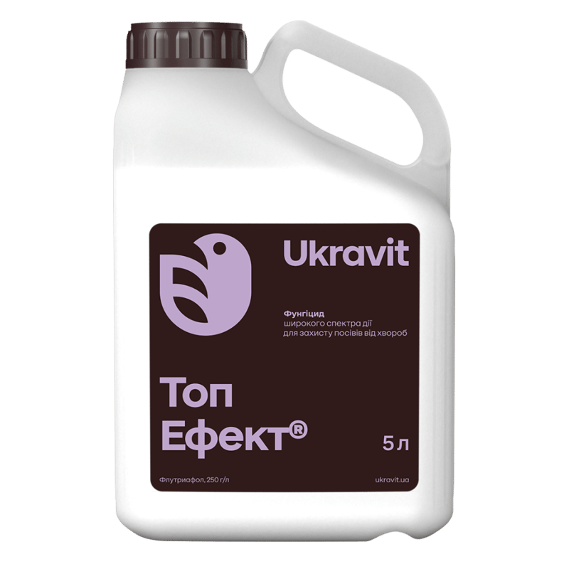 Топ Ефект
