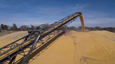 Brock LEMAR® Grain Transport Conveyor