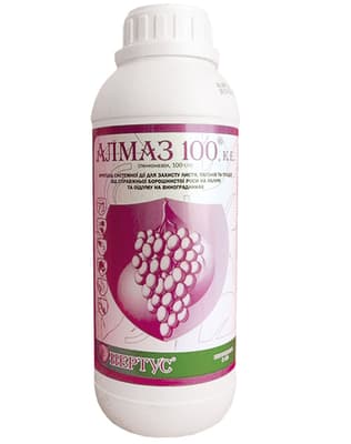 Almaz 100