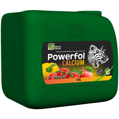 Powerfol Calcium