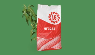 LG 3285 Silage Corn (FAO 360)