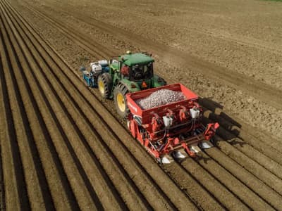 Potato planter Dewulf Certa 40 Integral