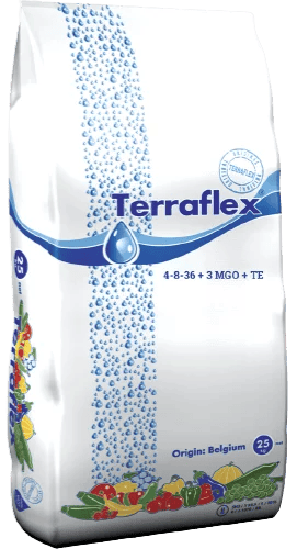 Terraflex Фінал (4-8-36+3MgO+TE)