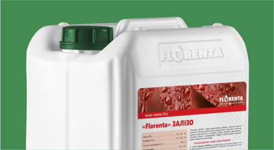 Florenta Ferrum