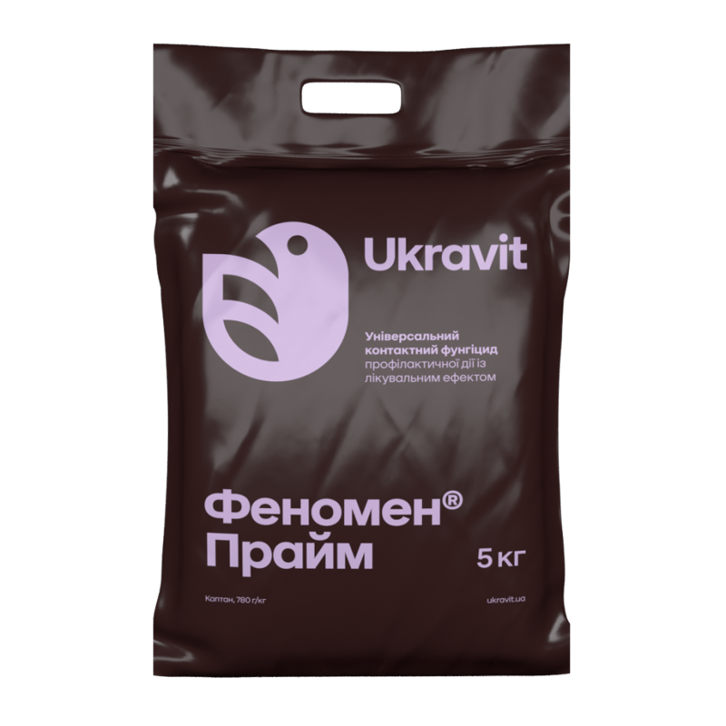 Феномен Прайм