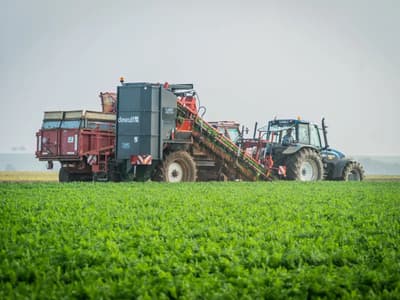Beet harvester Dewulf GKIISL