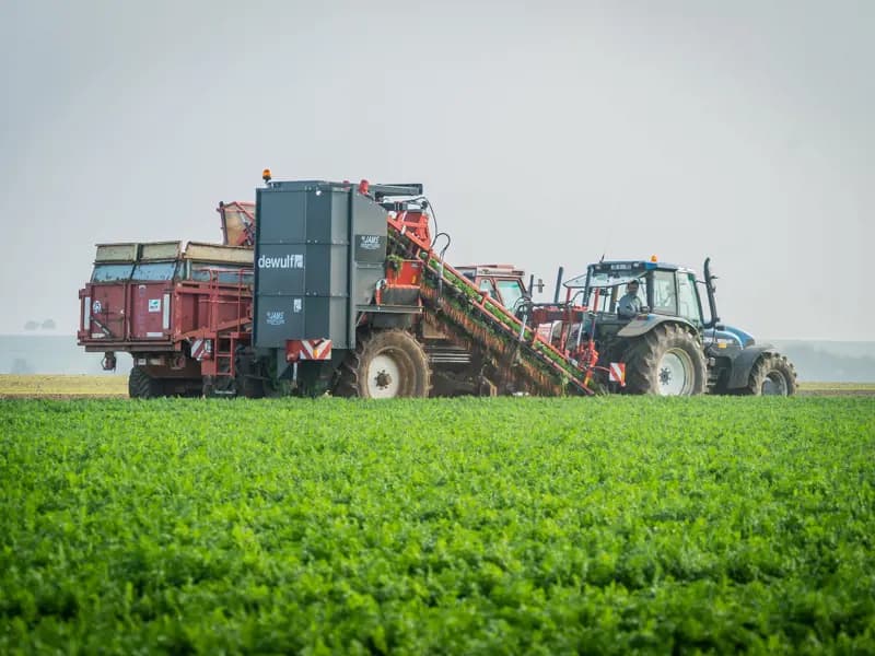 Beet harvester Dewulf GKIISL