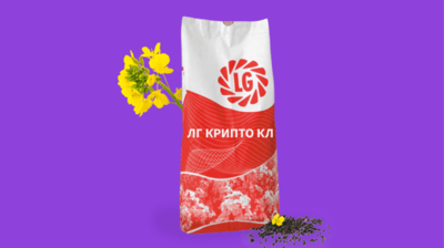 LG Kripto CL Winter Rapeseed