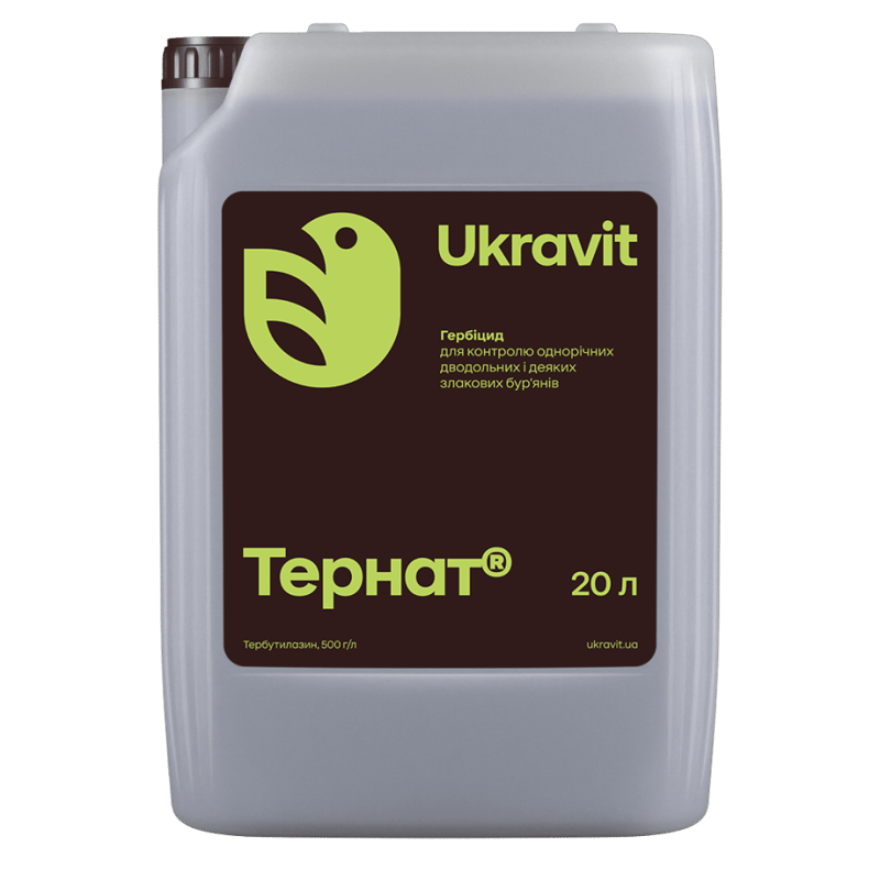Тернат