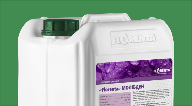 Флорента МОЛІБДЕН Premium