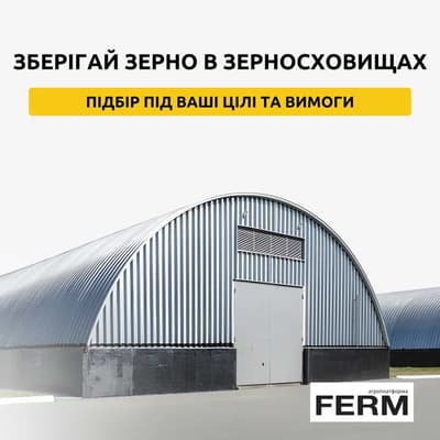 Послуги зберігання в зерносховищах, Оренда зерносховищ