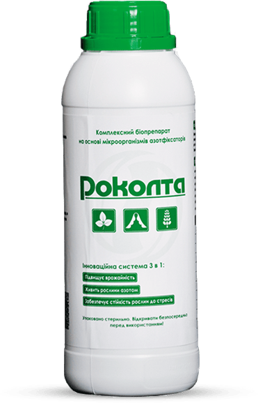 Роколта