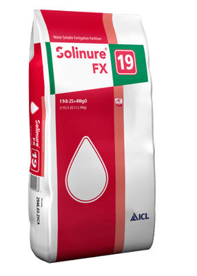 Solinure FX 19