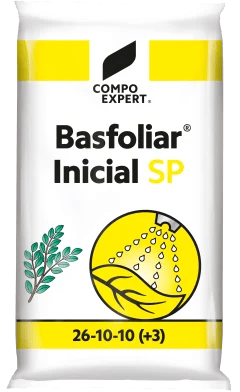 Басфоліар Ініціал SP