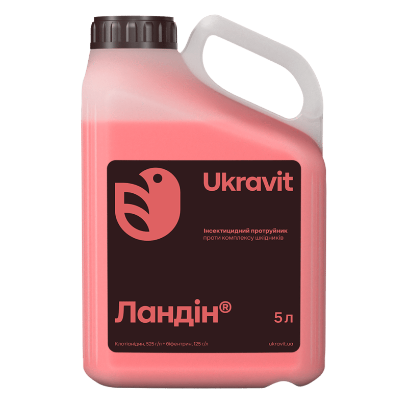 Ландін