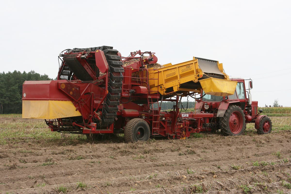 Картоплезбиральна машина Gomselmash ПКК-2-05