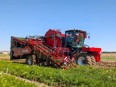 Beet harvester Dewulf ZB3