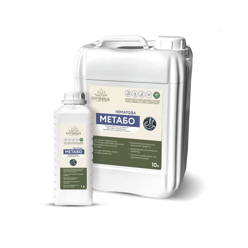 Metabo Nematoda
