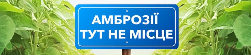 Геліантекс