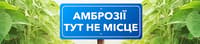 Геліантекс — зображення 1