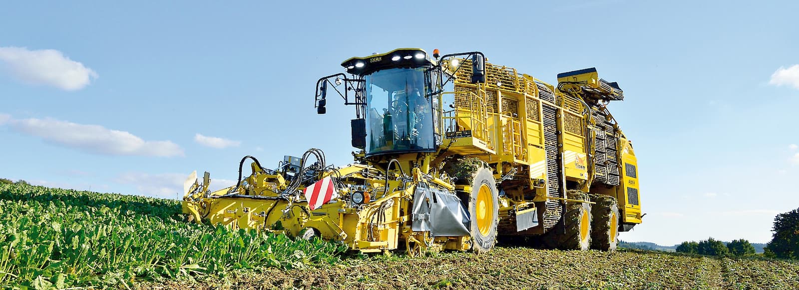 Beet harvester ROPA Tiger 5