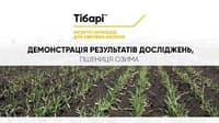 Тібарі — зображення 5