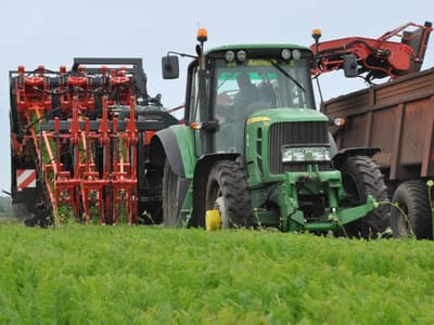 Beet harvester Dewulf GKIIISE