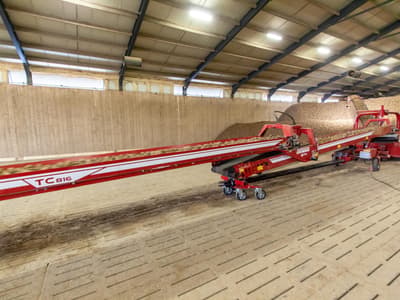 Potato conveyor GRIMME TC 813 / TC 816