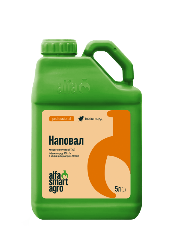 Наповал