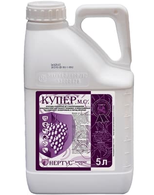 Kuper