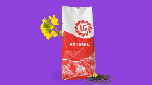 ЛГ Артеміс, озимий ріпак