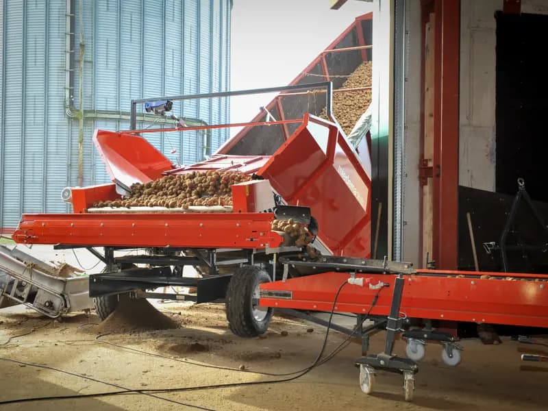 Potato conveyor Dewulf SB 651