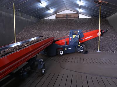 Potato conveyor Dewulf ML 70