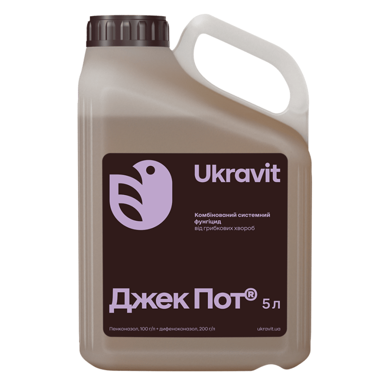 Джек Пот